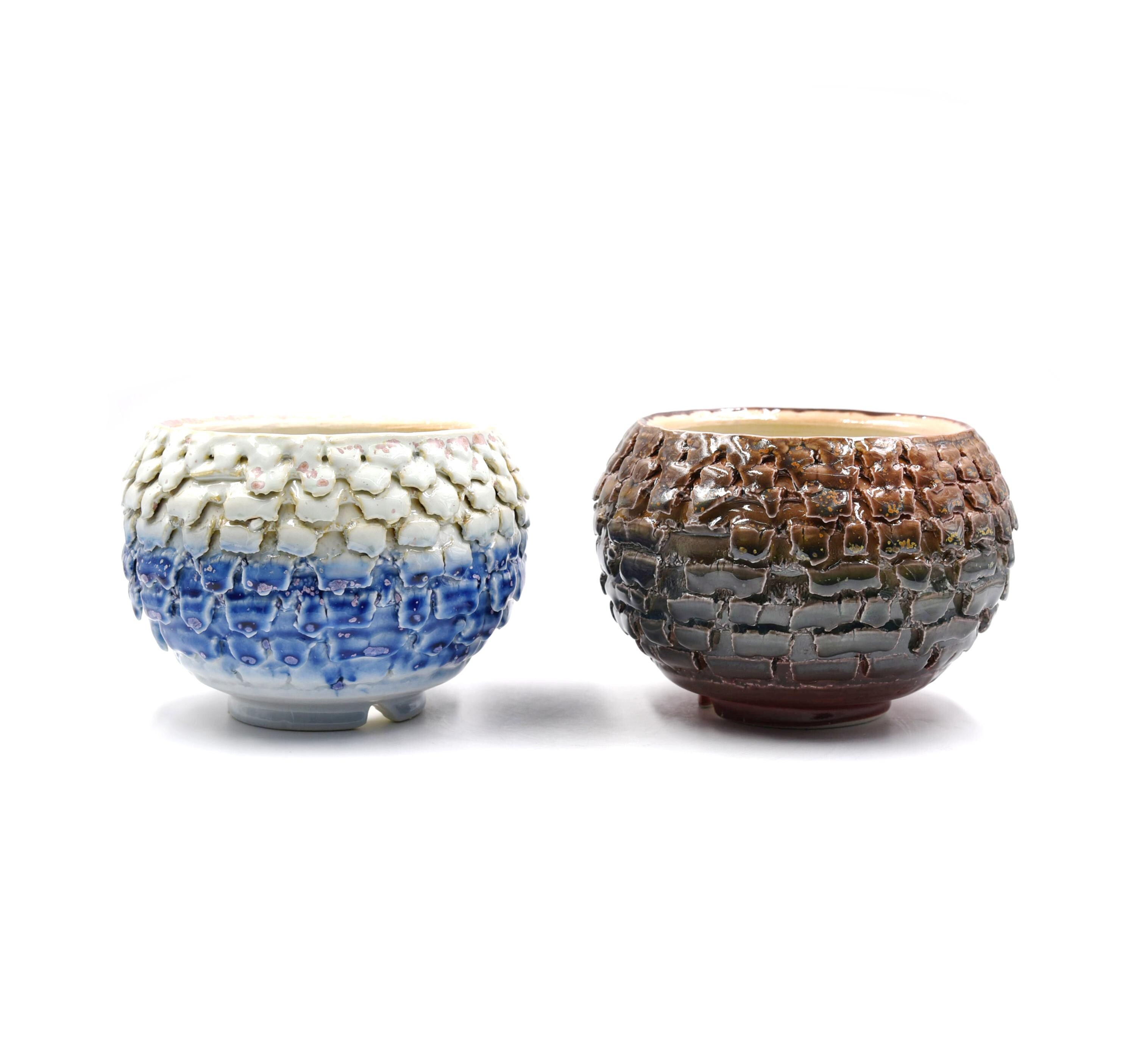 5"inches carve hand glaze dragon scales planter pot succulents pots