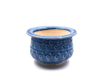 6" Fish Stamp Succulent Pot: Handmade Planter with Drainage