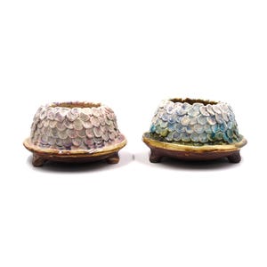 Pots de plantes succulentes fait main d'écailles de dragon de 5 pouces