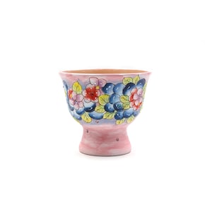 Maceta de arcilla rosa de 5 1/2 pulgadas pintada a mano con flores para suculentas