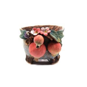 Maceta para suculentas con forma de mariquita de granada de 5 3/4 pulgadas