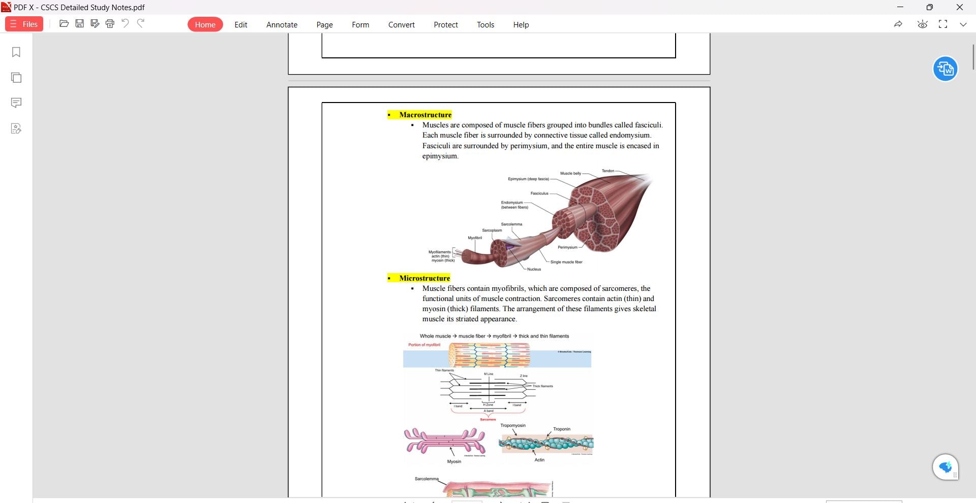 Detailed CSCS Study Notes and Quality CSCS Study Guide for CSCS Exam ...
