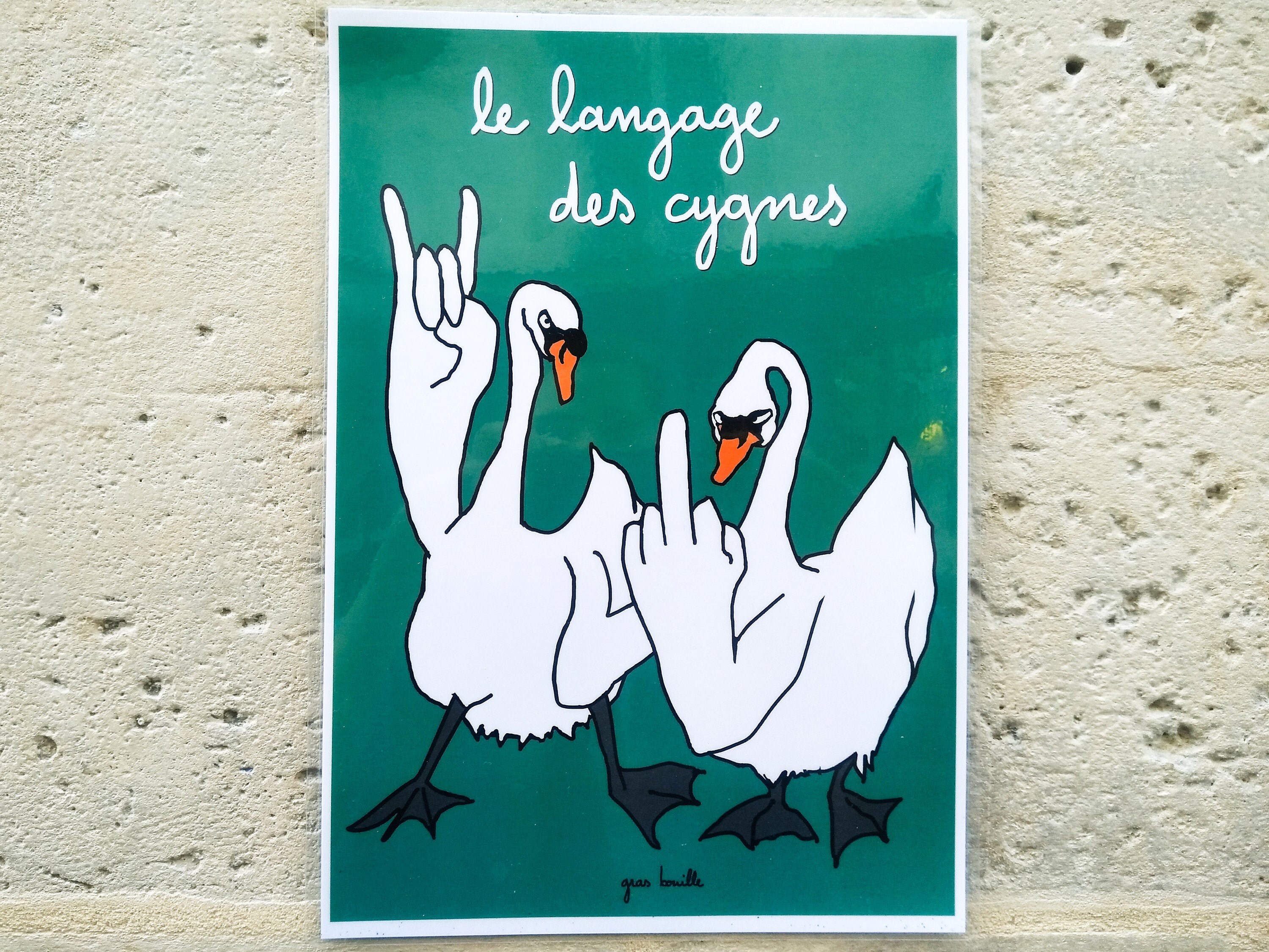 The Swan Language Poster Etsy