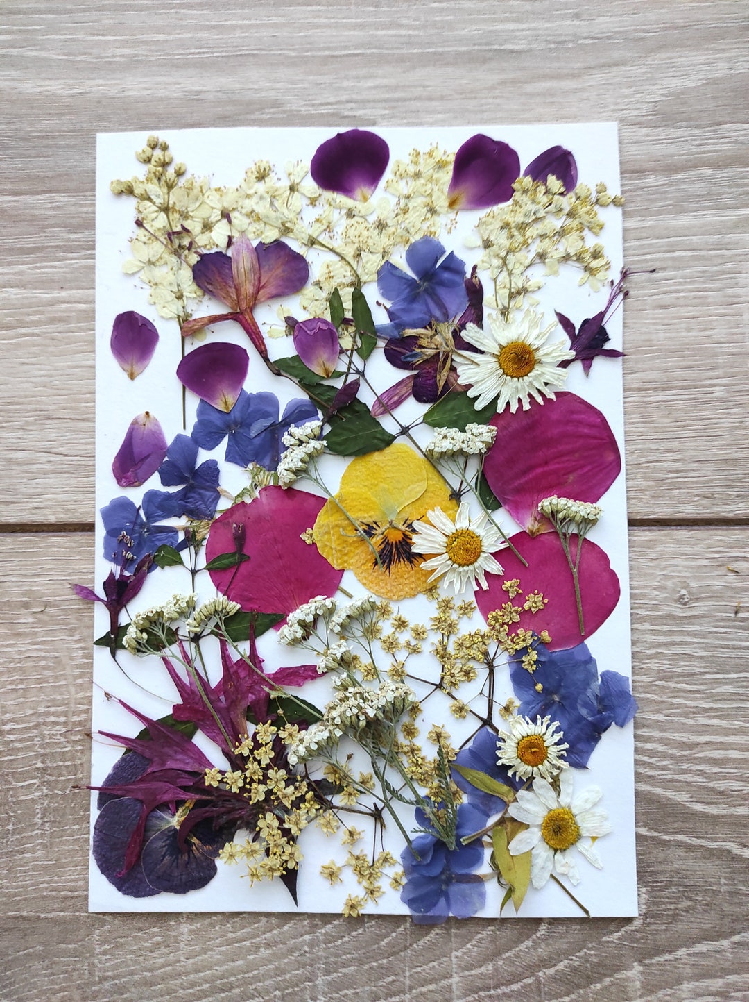 Edible Flowers for Cake Decoration Edible Pressed Flowers Etsy