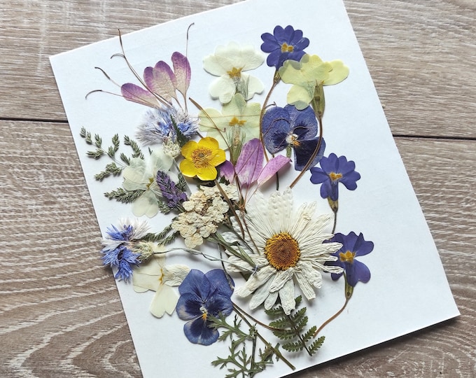 Pressed Flowers, Mixed Pack for Craft, Flowers for Resin, Pressed