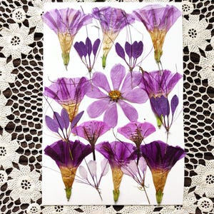 Fleurs pressées violettes pour bijoux à bricoler soi-même, cartes d'invitations, bijoux d'art mural, feuilles de fleurs en résine, lot mixte de bijoux en résine pour scrapbooking artisanal