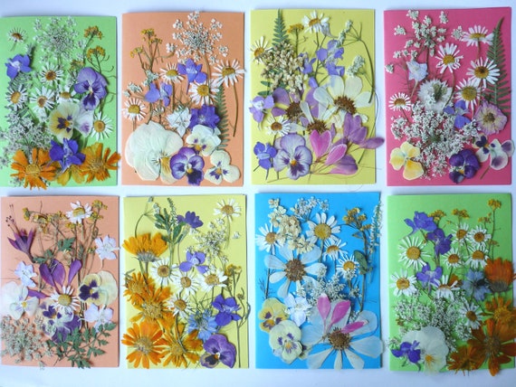 Dried Pressed Flowers For Crafts - Pressed Flowers Mix Pack - Dry