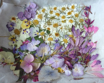 Dried pressed flower for craft, Flowers for resin, mixed dry flowers, pressed flower art, wedding decoration, scrapbooking, 25 Dried Flower