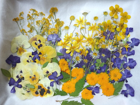 Mixed Dry Flowers, Dried Pressed Flowers for Crafts, Pressed