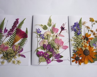 Pressed Flower Art, Dried Pressed Flowers Mixed Pack for Crafts, Dried  Flower Wedding, Card Making, Floral Craft, Scrapbooking, Dry Flowers -   Norway