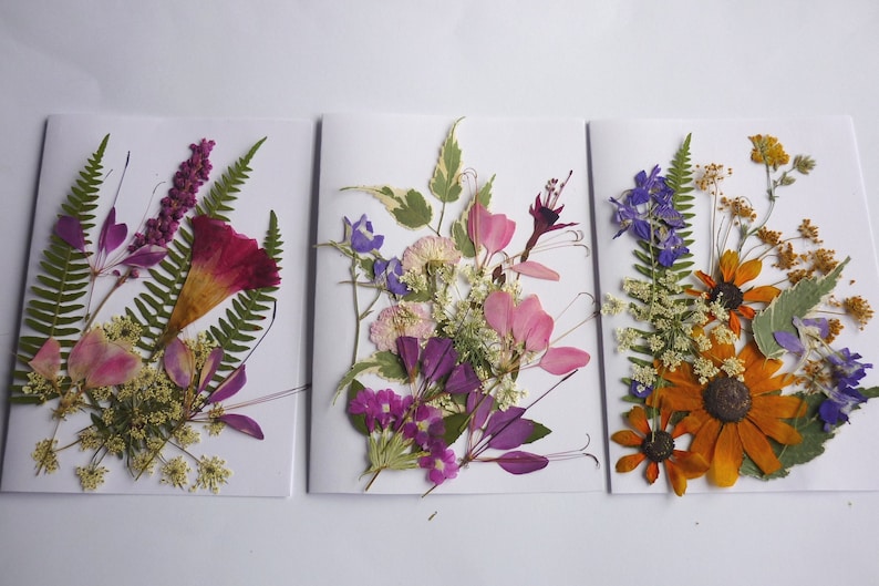 Pressed Flower Art Dried Pressed Flowers Mixed Pack for Etsy Australia
