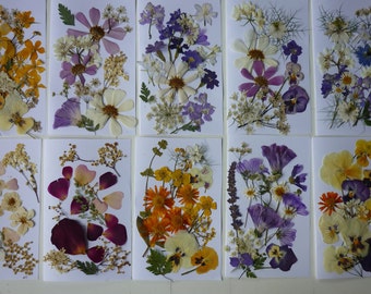 Crafty Ideas for Dried or Pressed Flowers ~ Bless My Weeds