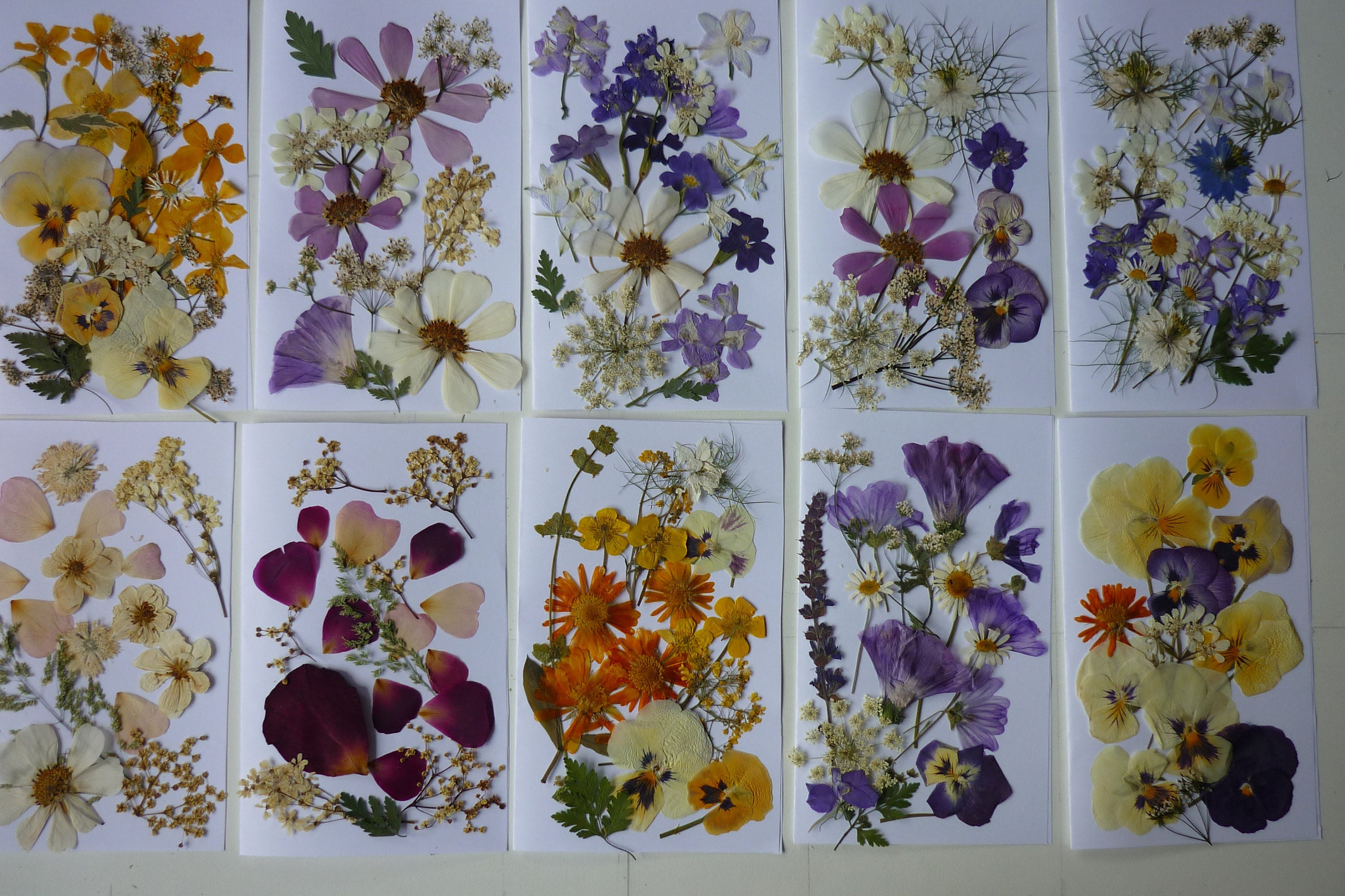 Dried Pressed Flowers For Crafts, Pressed Flowers Mixed, Dry