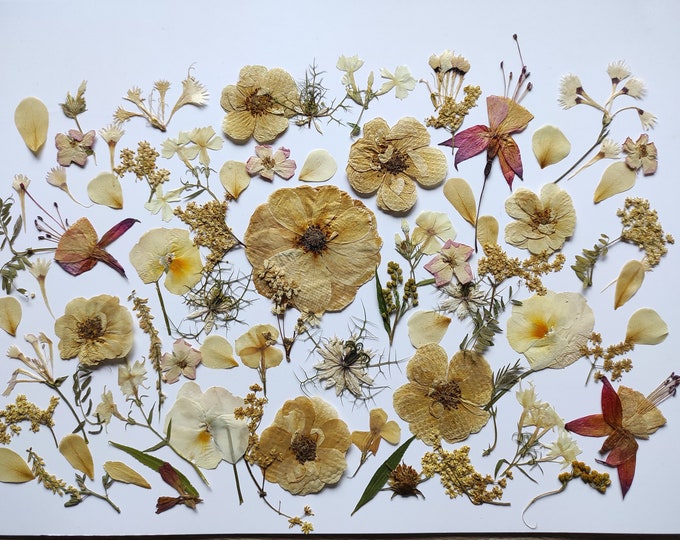 PressedFlowersStudio Etsy Canada