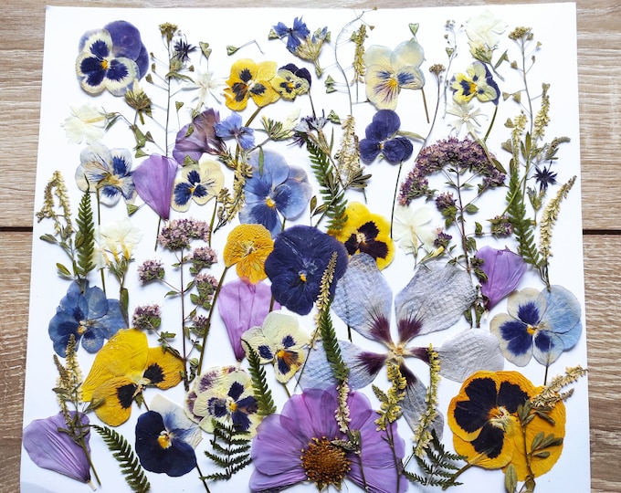 PressedFlowersStudio Etsy Canada