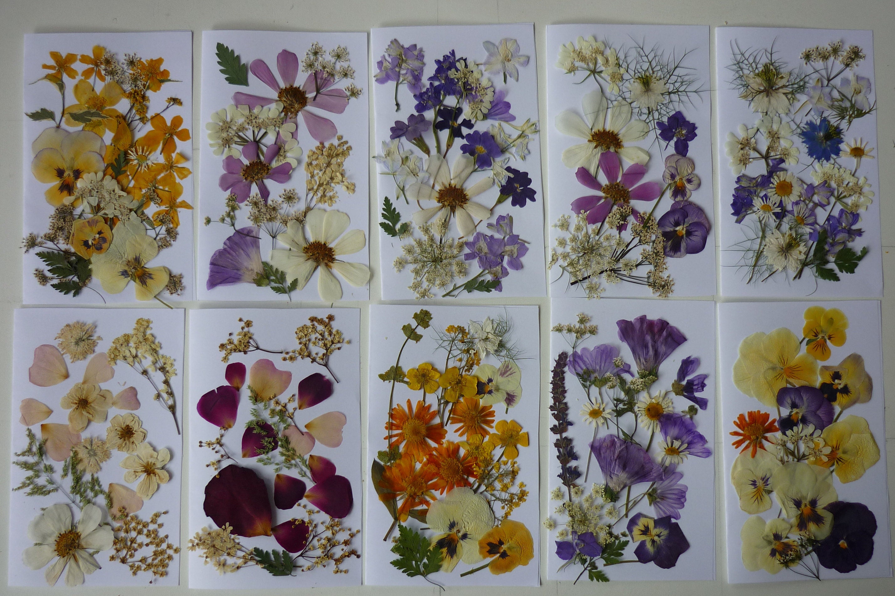 Dried Pressed Flowers For Crafts, Pressed Flowers Mixed, Dry Pressed Flower  Art, Dried Flower Wedding, Card Making, Scrapbooking - Artificial Flowers -  AliExpress