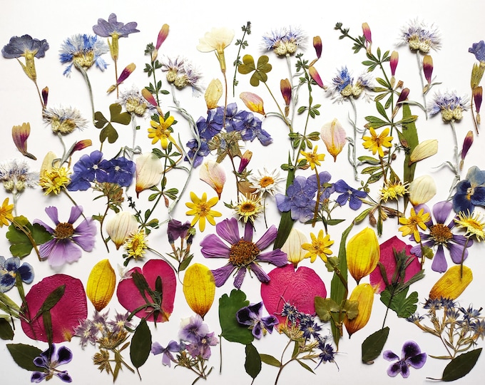 PressedFlowersStudio Etsy Canada