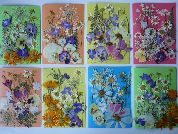 Pressed Flowers Mixed Pack for Crafts, Pressed Flower Art, Dried