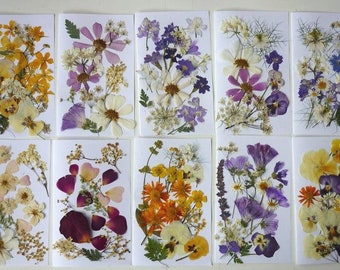 Dried pressed flowers for crafts, Pressed flowers mixed pack, dry pressed flower art, dried flower wedding, card making, scrapbooking, art