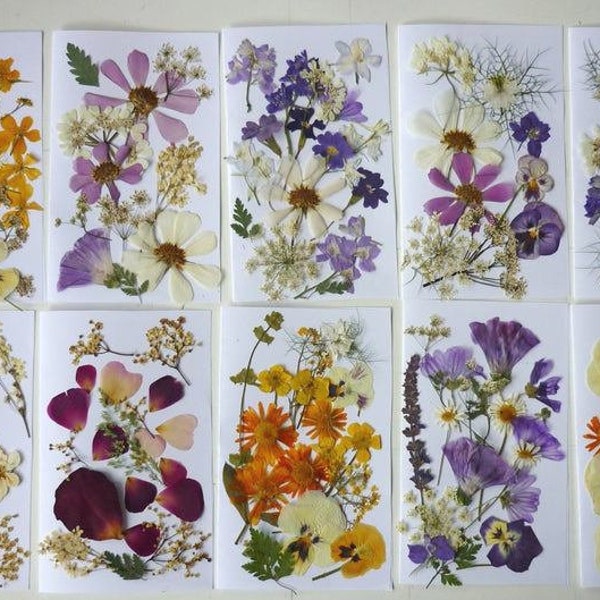 Dried pressed flowers for crafts, Pressed flowers mixed pack, dry pressed flower art, dried flower wedding, card making, scrapbooking, art