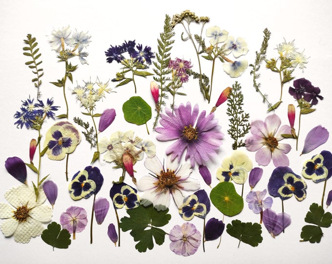 PressedFlowersStudio Etsy Canada