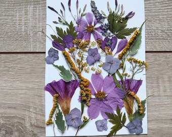 Mixed Dry Flowers, Dried Pressed Flowers for Crafts, Pressed Flower Art,  Wedding Decoration, Dried Flowers for Resin, 25 Dried Flower, Art 