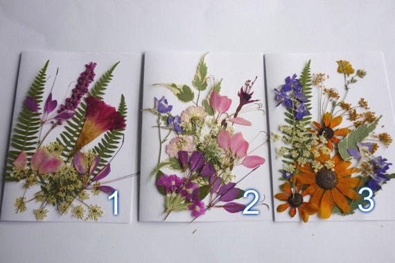 Getrocknete gepresste Blumen Mischpackung: Blumen Bastelbedarf