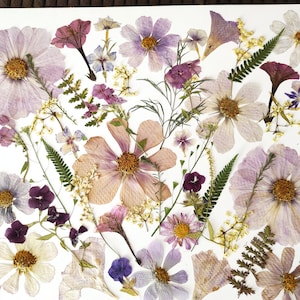 Fiori commestibili per decorare torte, Fiori pressati per torte nuziali, Fiori pressati commestibili, Fiori pressati per decorare torte, artigianato