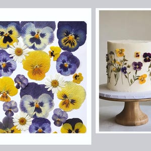 Ensemble de fleurs pressées comestibles - Parfait pour les gâteaux de mariage et les cupcakes, les pensées pressées, les fleurs comestibles, les décorations de gâteaux de cocktails, les cartes d'invitation