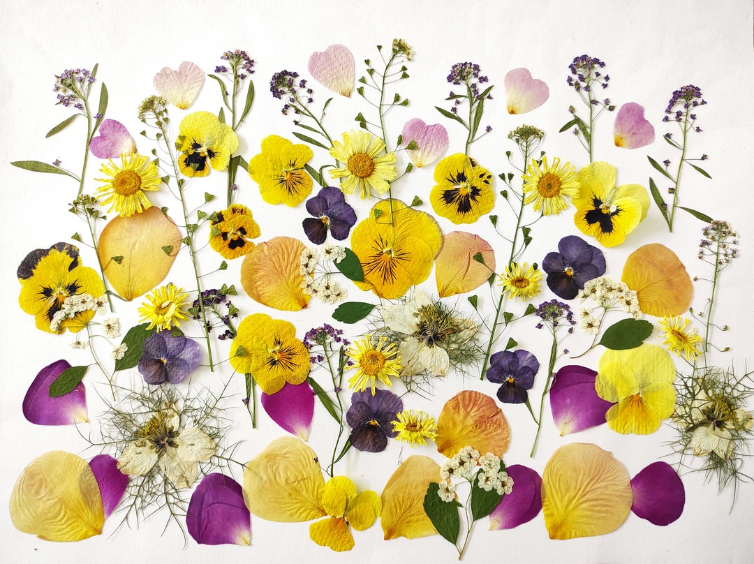 Edible Flowers for Cake Decoration, Pressed Flowers for Wedding Cakes