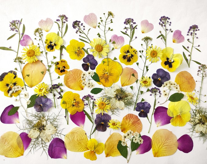 Edible Flowers for Cake Decoration, Pressed Flowers for Wedding Cakes
