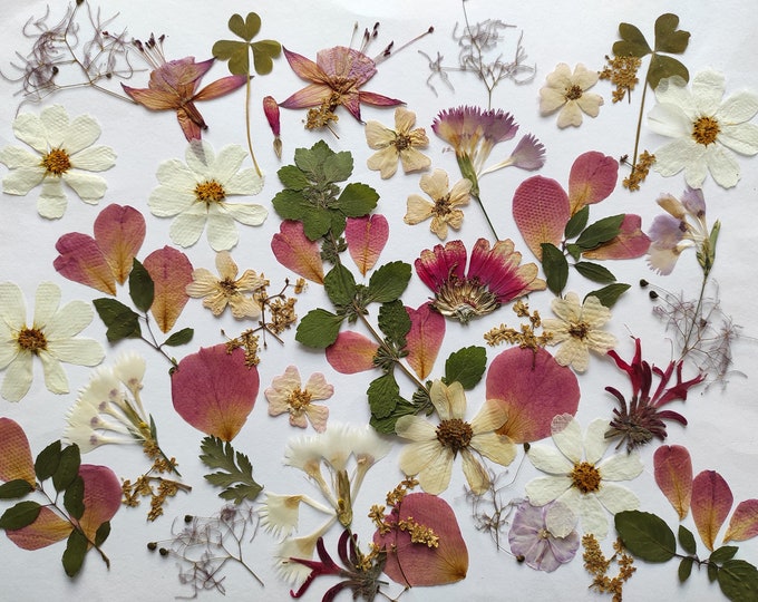 PressedFlowersStudio Etsy Canada