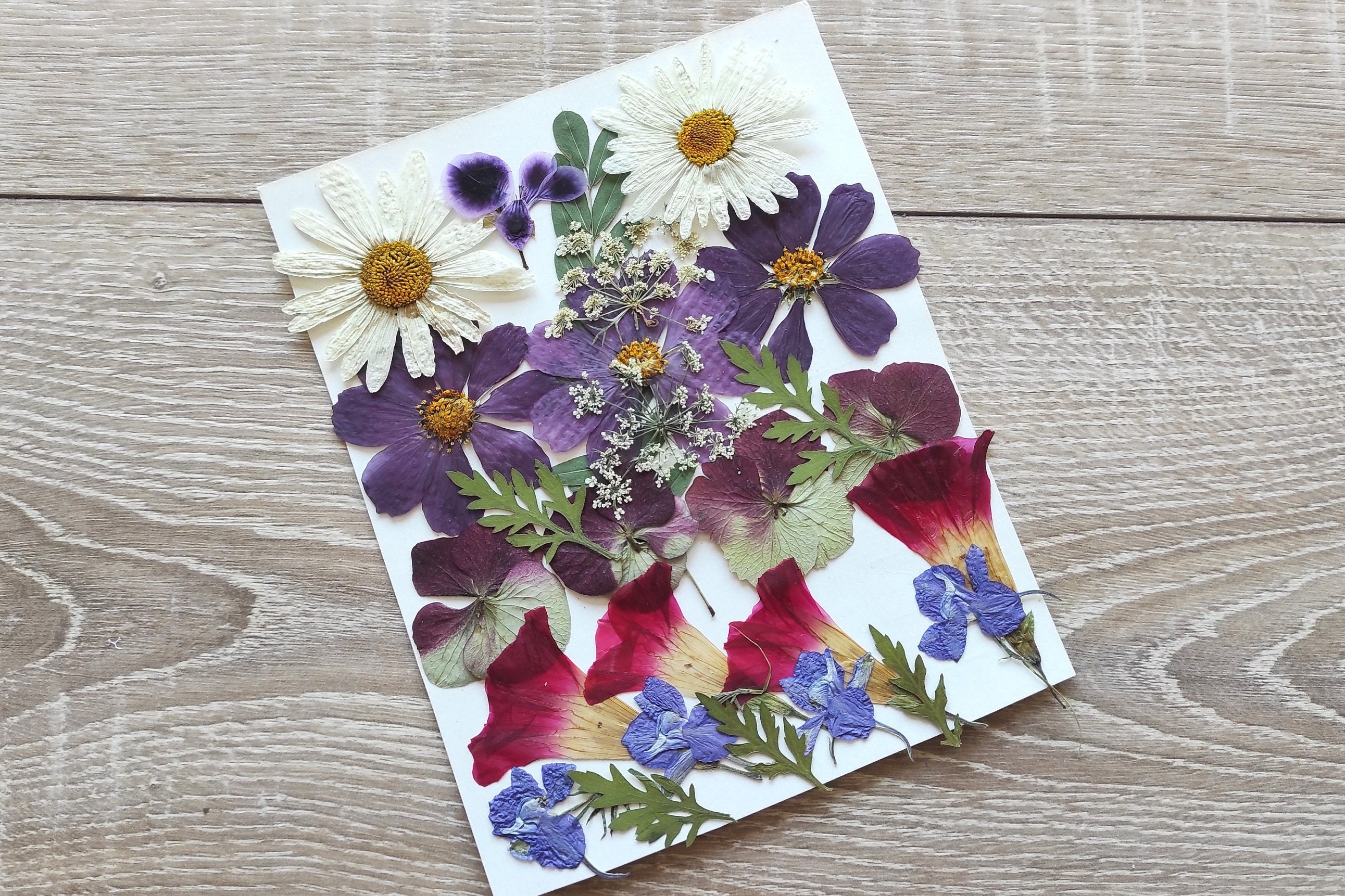 Pressed Flower Art, Dried Pressed Flowers Mixed Pack for Crafts, Dried  Flower Wedding, Card Making, Floral Craft, Scrapbooking, Dry Flowers 