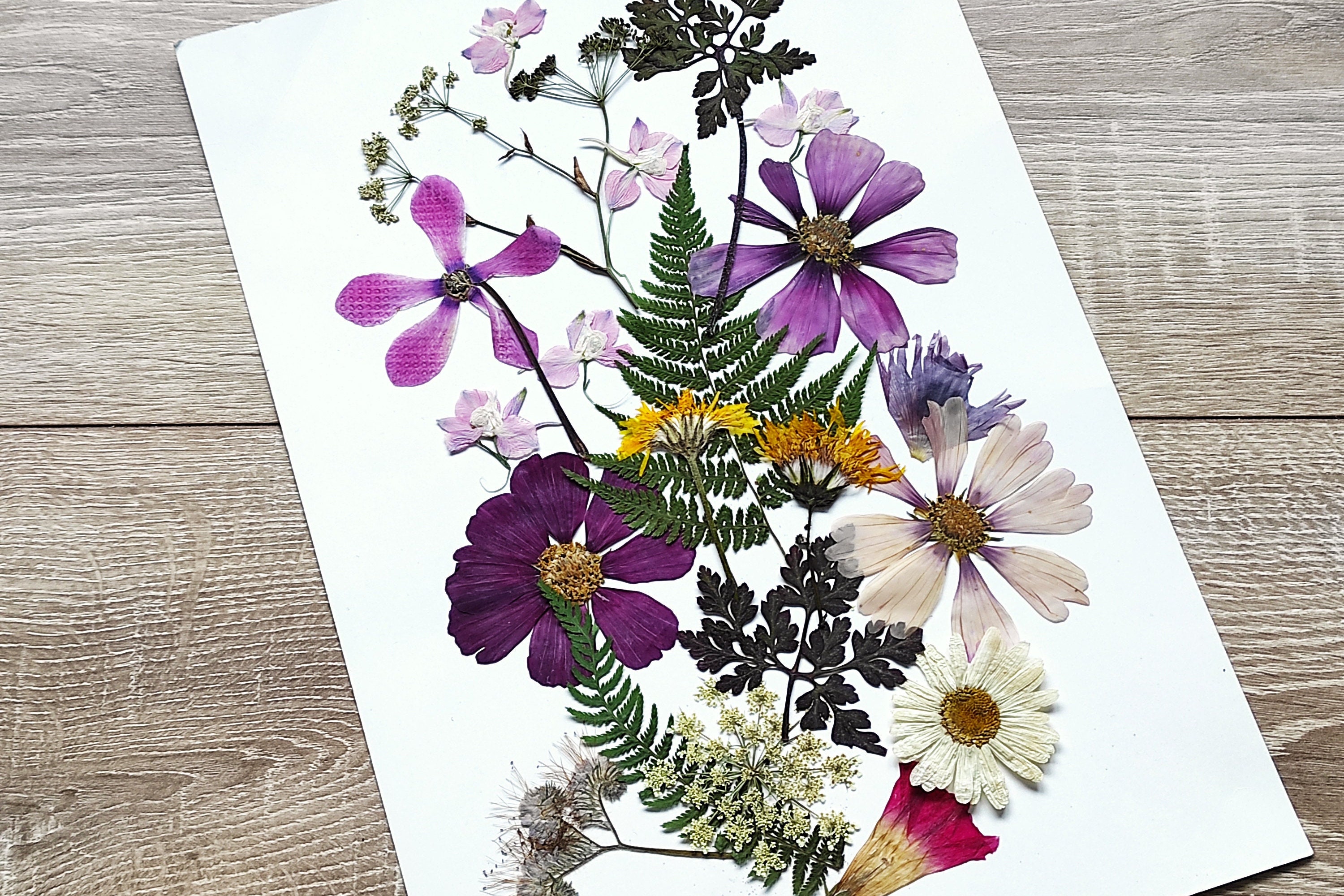 Pressed Flower Art, Dried Pressed Flowers Mixed Pack for Crafts