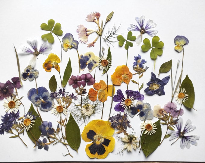 PressedFlowersStudio Etsy Canada