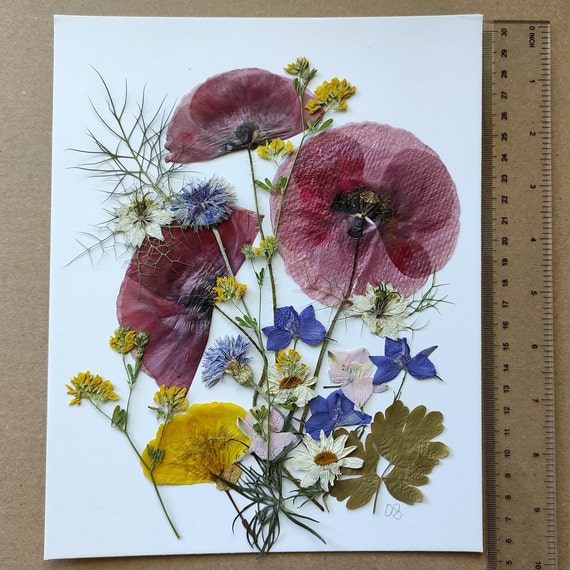 Poppy Pressed Flower, Meadow Pressed Flowers, Flowers for Resin, Pressed  Flowers, Pressed Flowers for Crafts, Dry Flower, Resin, Floral Art 