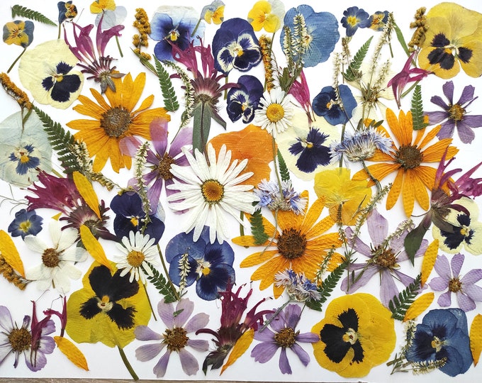 Edible Flowers for Cake Decoration Edible Pressed Flowers Etsy