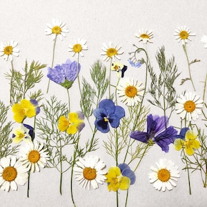 Edible flower for cake decoration Pressed flower for wedding cakes Edible pressed flowers Wedding cake Real wild flowers Cake topper
