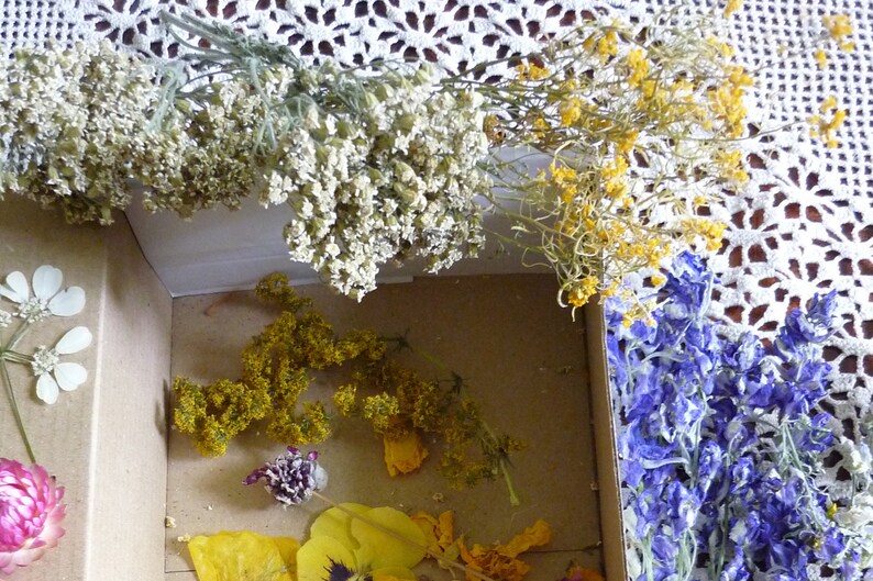 Dried flowers for crafts Dried flowers for resin Mixed dry Etsy