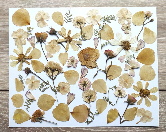 PressedFlowersStudio Etsy Canada