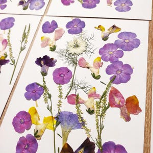 Edible flower for cake decoration Pressed flower for wedding cakes Edible pressed flowers Wedding cake Real wild flowers Cake topper