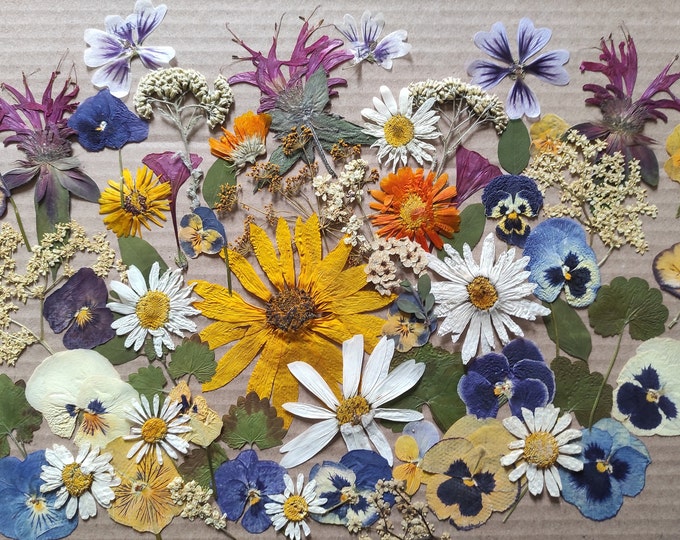 Edible Pressed Flowers, Edible Flowers Cake Decoration, Pressed Flowers