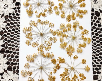 Fiori pressati commestibili: kit fai da te per gioielli, arte in resina e biglietti