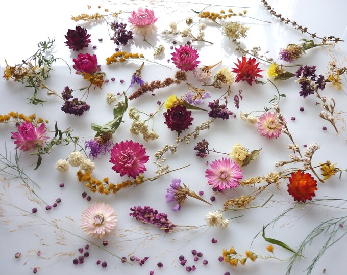 60 Dried Flowers for Resin Dried Flowers for Crafts Dried Etsy