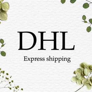 DHL Express shipping upgrade