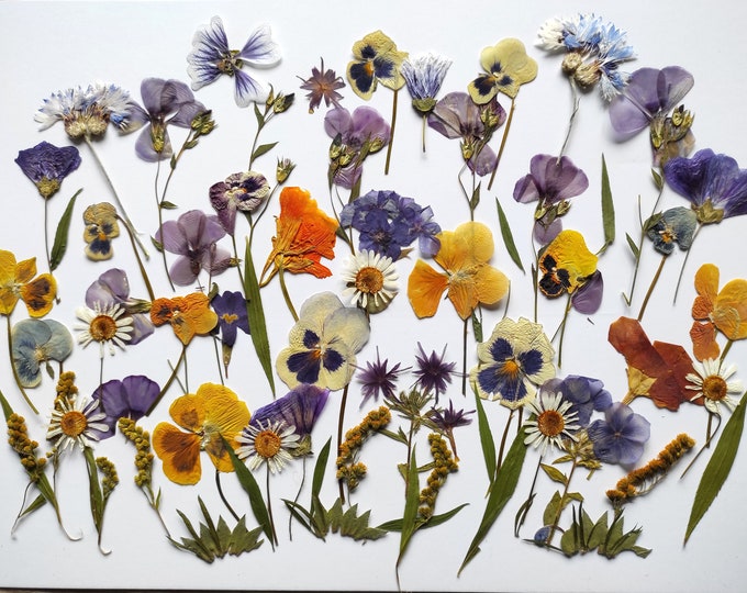 PressedFlowersStudio Etsy Canada