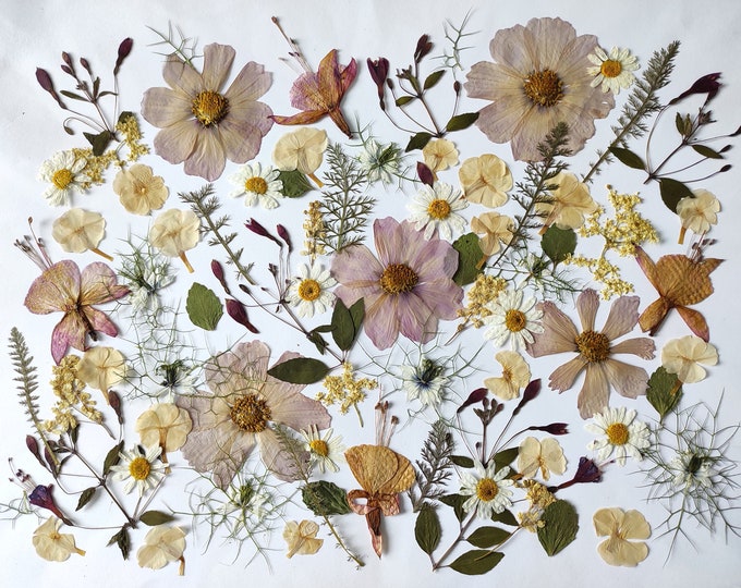 Edible Flowers for Cake Decoration, Edible Pressed Flowers, Pressed