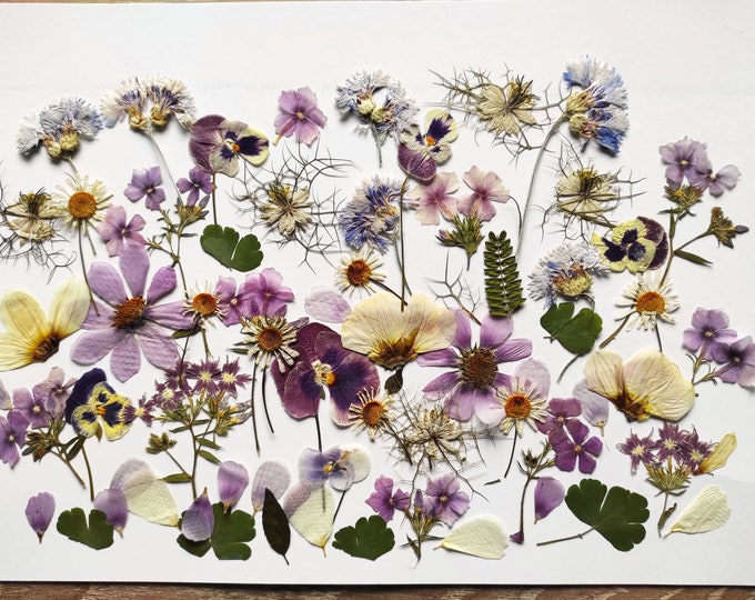 PressedFlowersStudio Etsy Canada