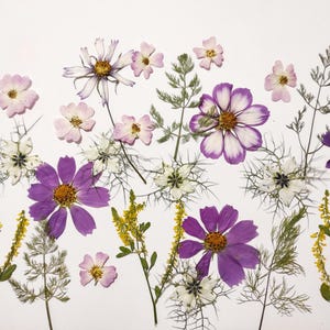 Edible flower for cake decoration Pressed flower for wedding cakes Edible pressed flowers Wedding cake Real wild flowers Cake topper