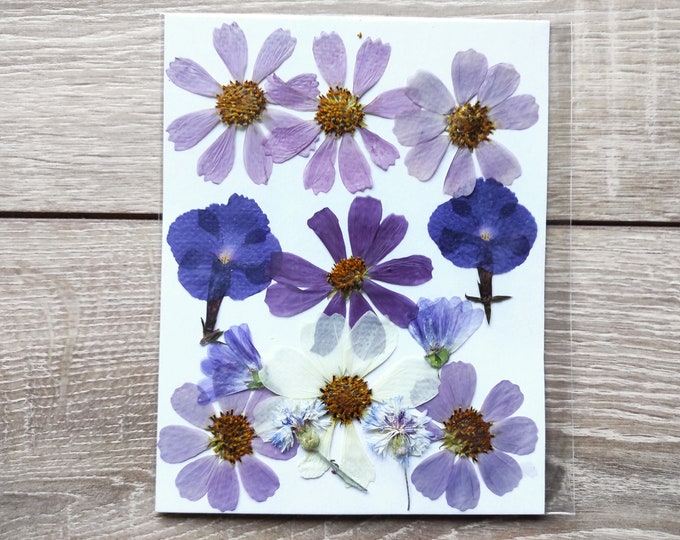 Pressed Flowers, Mixed Pack for Craft, Flowers for Resin, Pressed